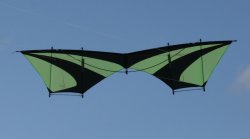 Grüner Kamikaze Butterfly