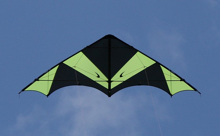 Spacekites - Devil Wing 2.5