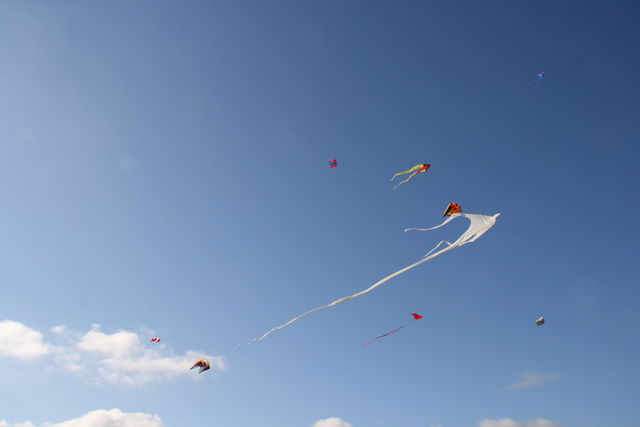 Vollbildansicht Bild 121