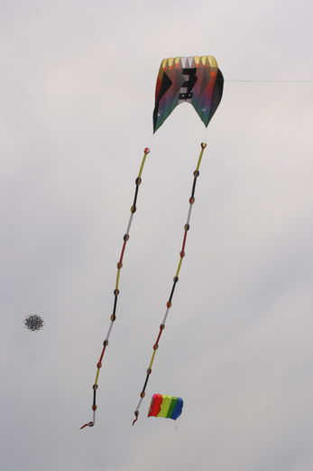 Vollbildansicht Bild 192