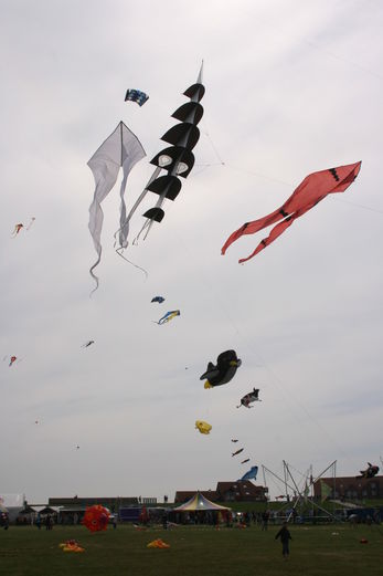 Vollbildansicht Bild 196