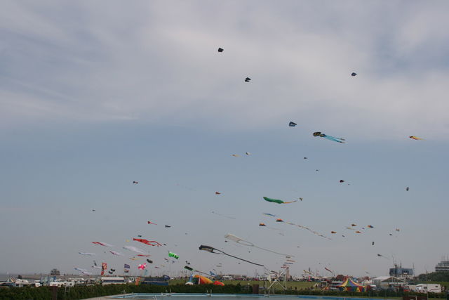 Vollbildansicht Bild 200
