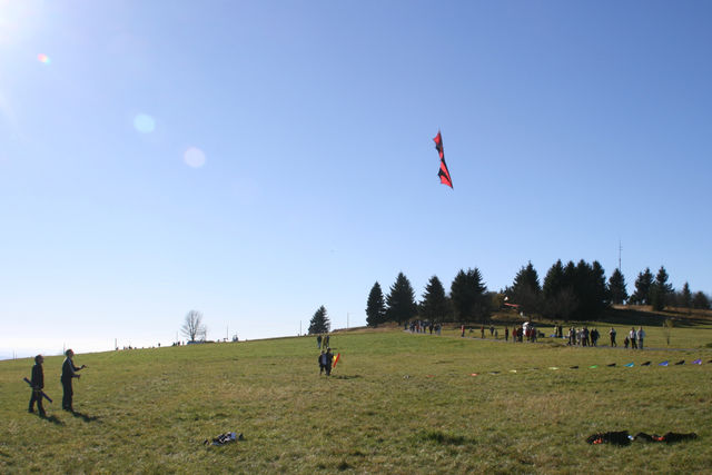 Vollbildansicht Bild 110
