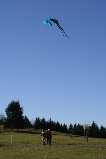 Vollbildansicht Bild 116