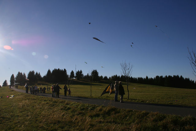 Vollbildansicht Bild 128