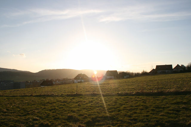 Vollbildansicht Bild 117